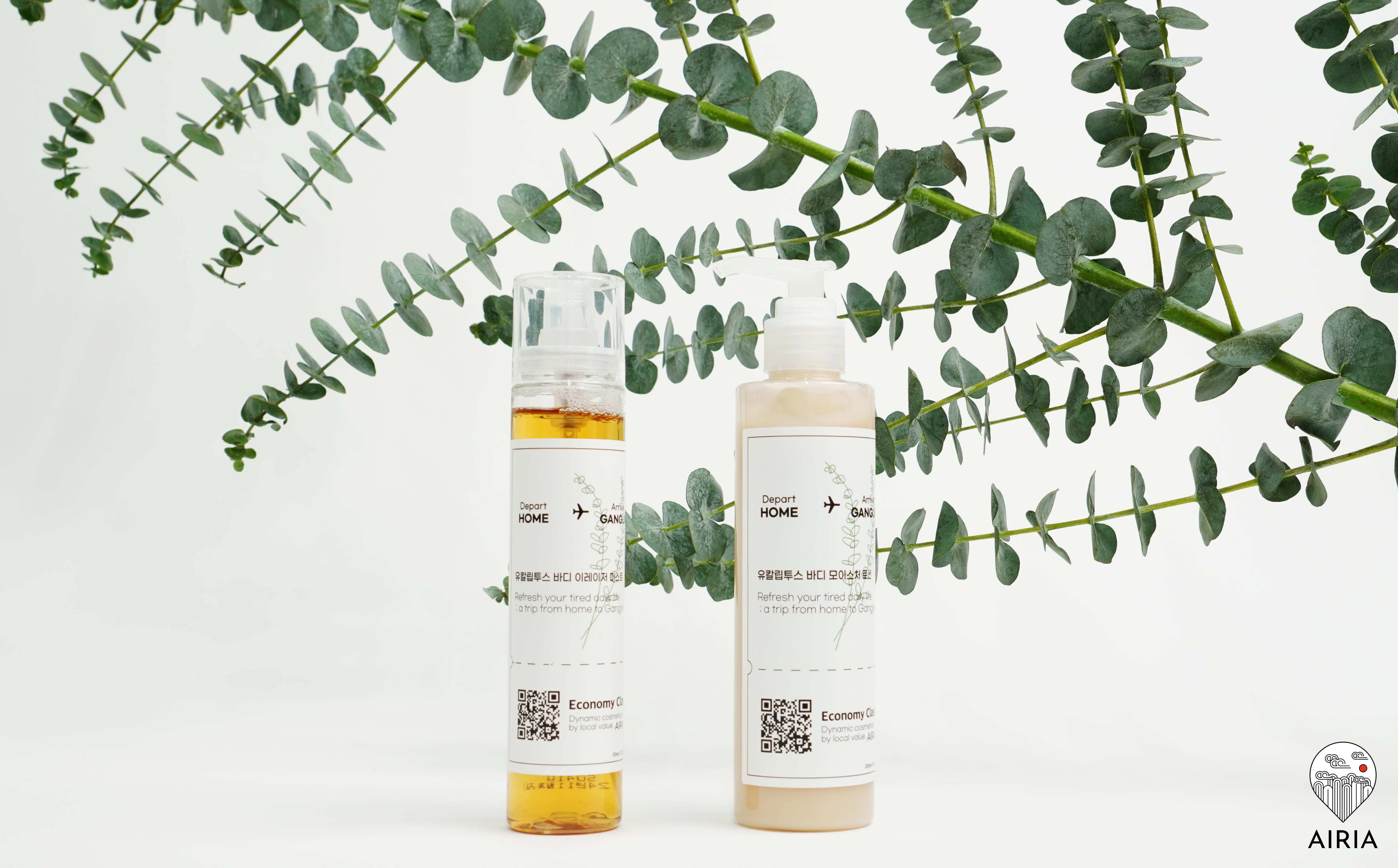 [바디로션/바디미스트] "유칼립투스"가 지닌 강력한 보습과 진정의 힘