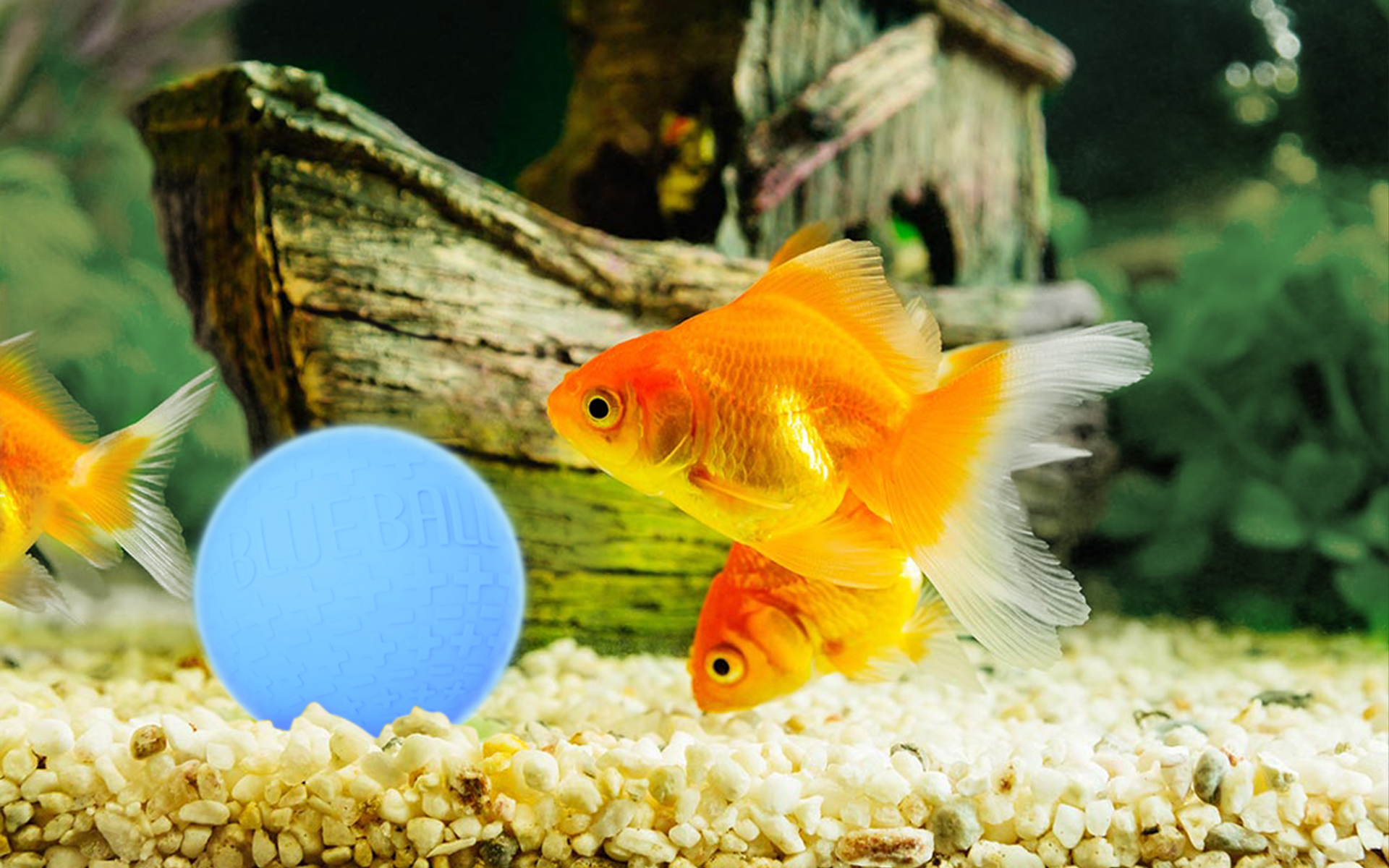 (천연비누 완결판) 커뮤니티에 올라온 사전체험단 후기를 꼭 보세요