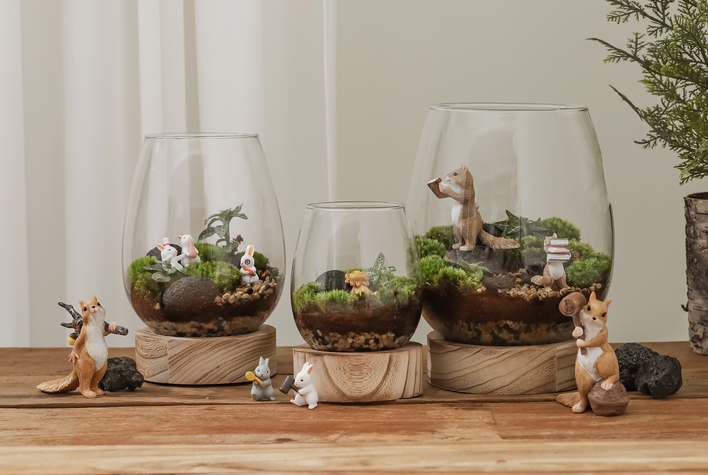 Add a Touch of Green to Your Life: The Mini Garden Terrarium for Your Room