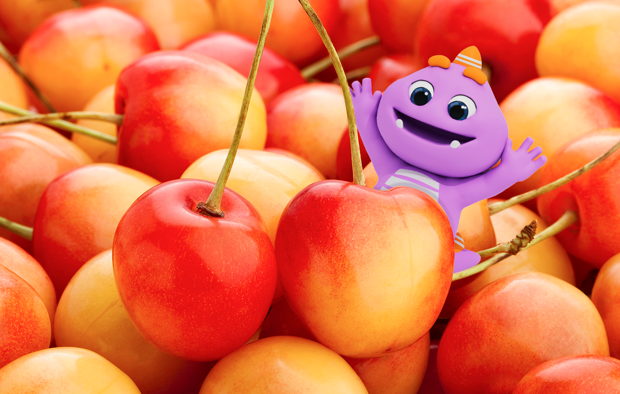 [한정판체리] 초여름, 달콤새콤함이 톡!터지는 신품종 국내산 애플체리