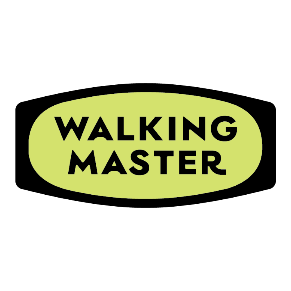 (주)나인투식스