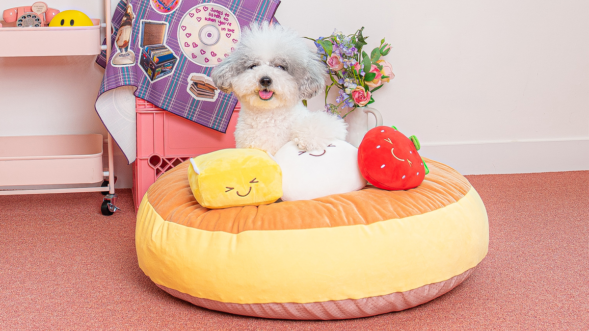 사르르 녹아 스르륵 잠드는 굽개눕개 강아지 팬케이크 방석