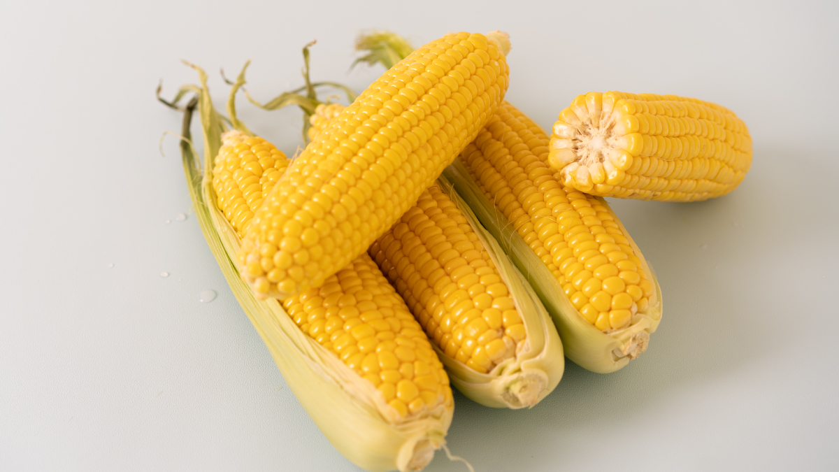 완벽손질 실패 없는 초당옥수수 [청년깐초당] 품질불량 제로에 도전합니다.