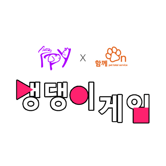 이피(IPY)