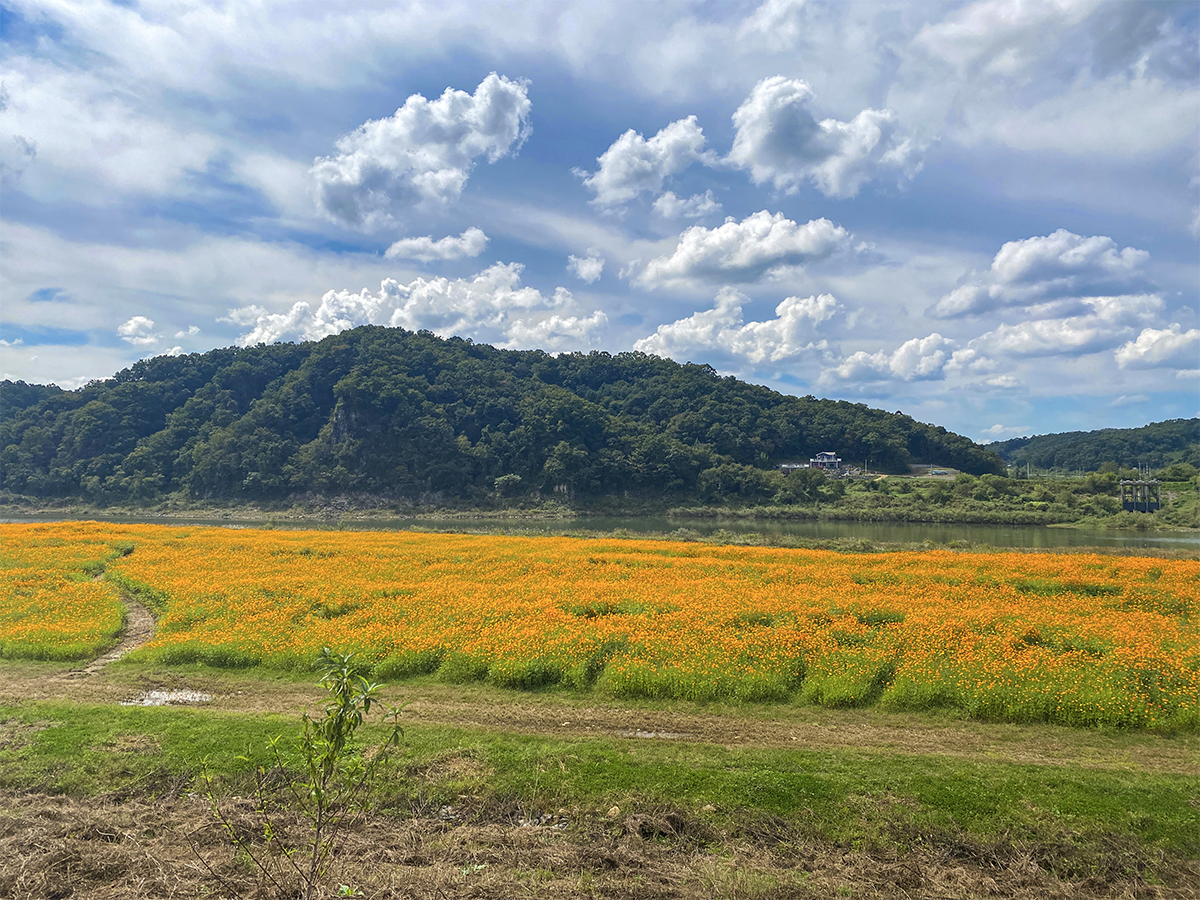 힐링 자유여행 가성비 끝판왕! 10만원대에 해결하는 1박2일 여행