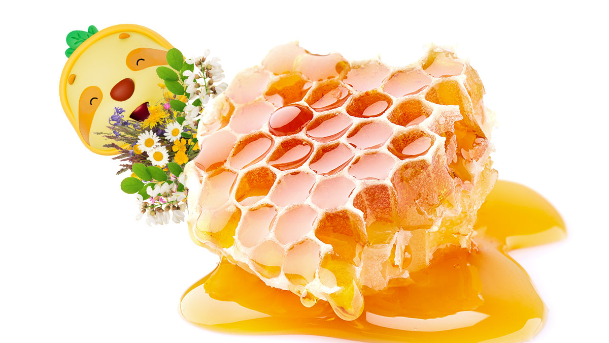 [Pure Flower Honey] Rich fragrant pure fresh honey and pollen—pretty and easy to enjoy!