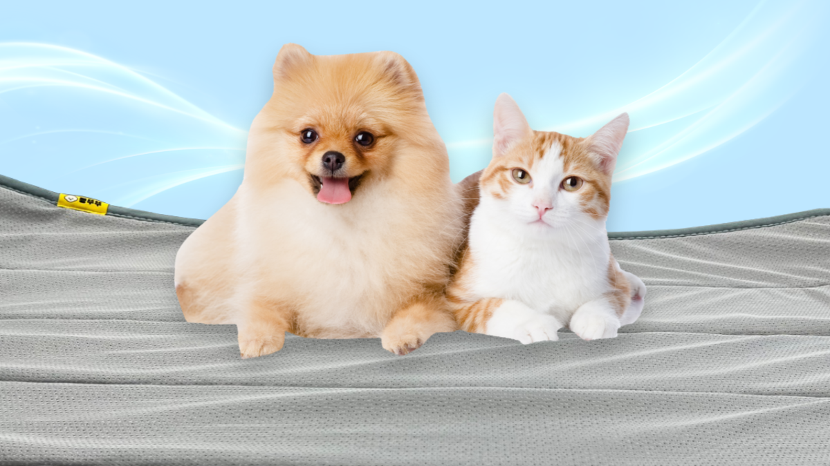 Pet Cooling Mat! Keep Your Furry Friend Cool and Comfortable All Day Long!
