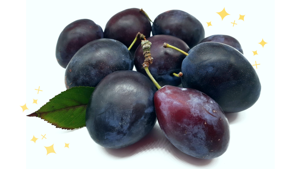 [Prune - Big Purple] Once You Taste This Sweetness You Can’t Escape!