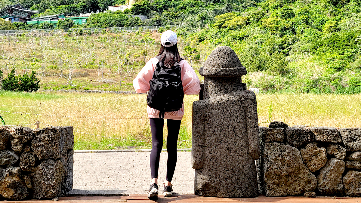 The Easiest Jeju Olle Trail Trip Ever! Pickup Luggage and Accommodation Included
