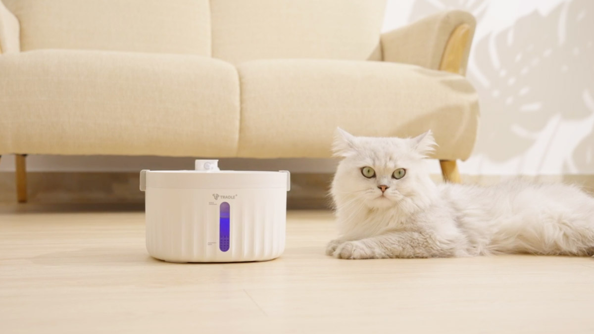 [Around $50] Cordless Convenience Meets Affordable Macbanseok Water Purifier