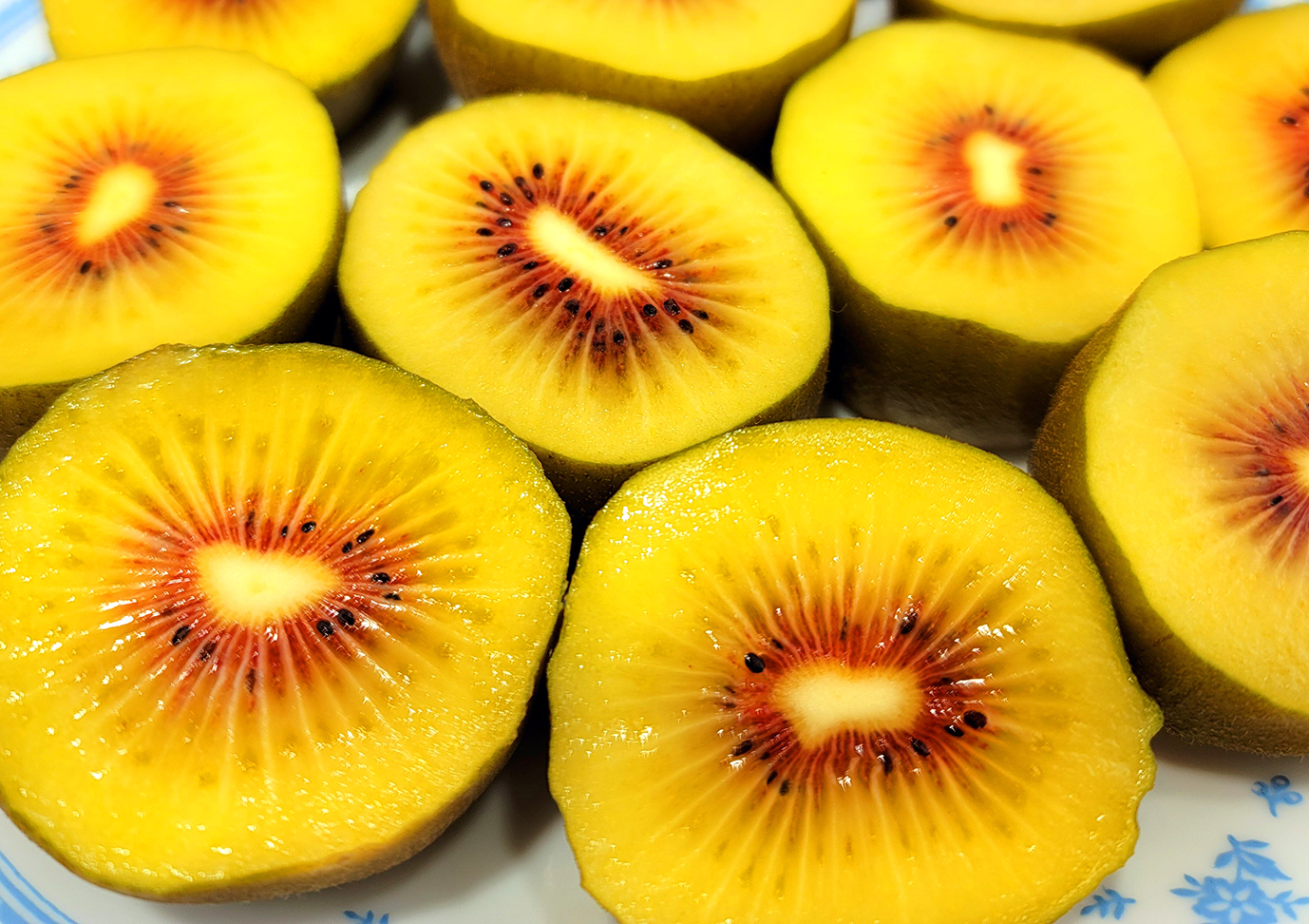 你是我的阳光红奇异果