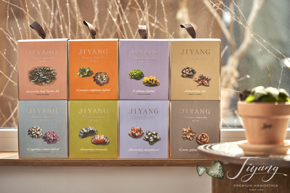 영농조합법인 지양