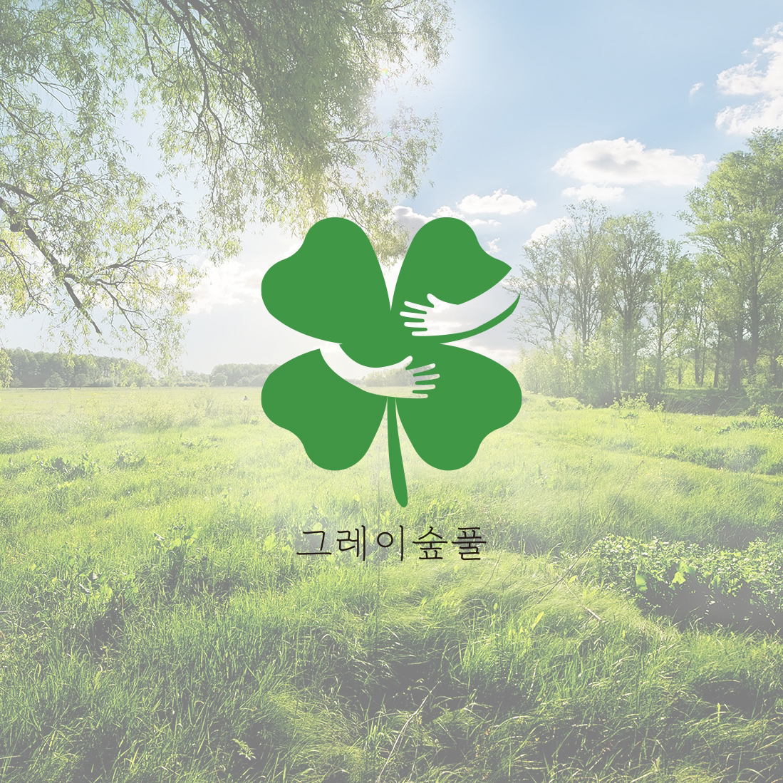 그레이숲풀