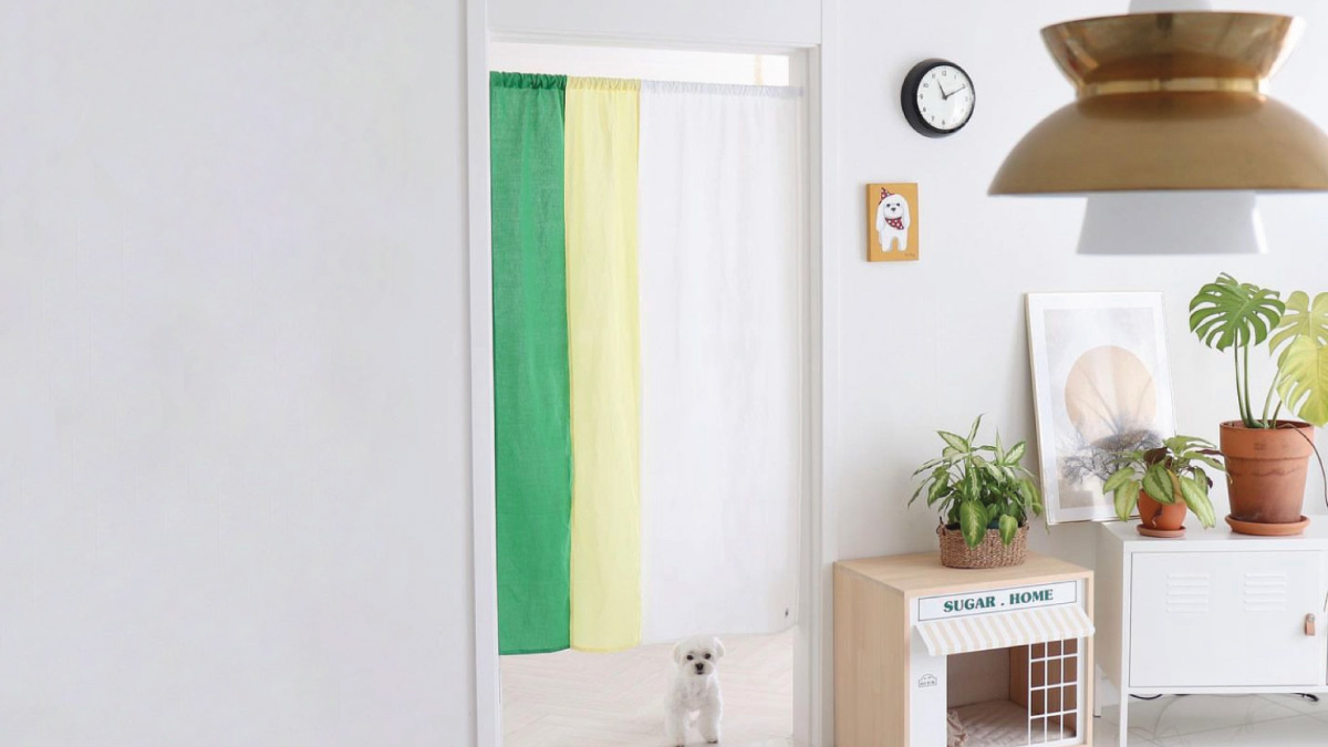 [10-Second Setup] Simple elegance of Hanok in your own easy color combo curtains