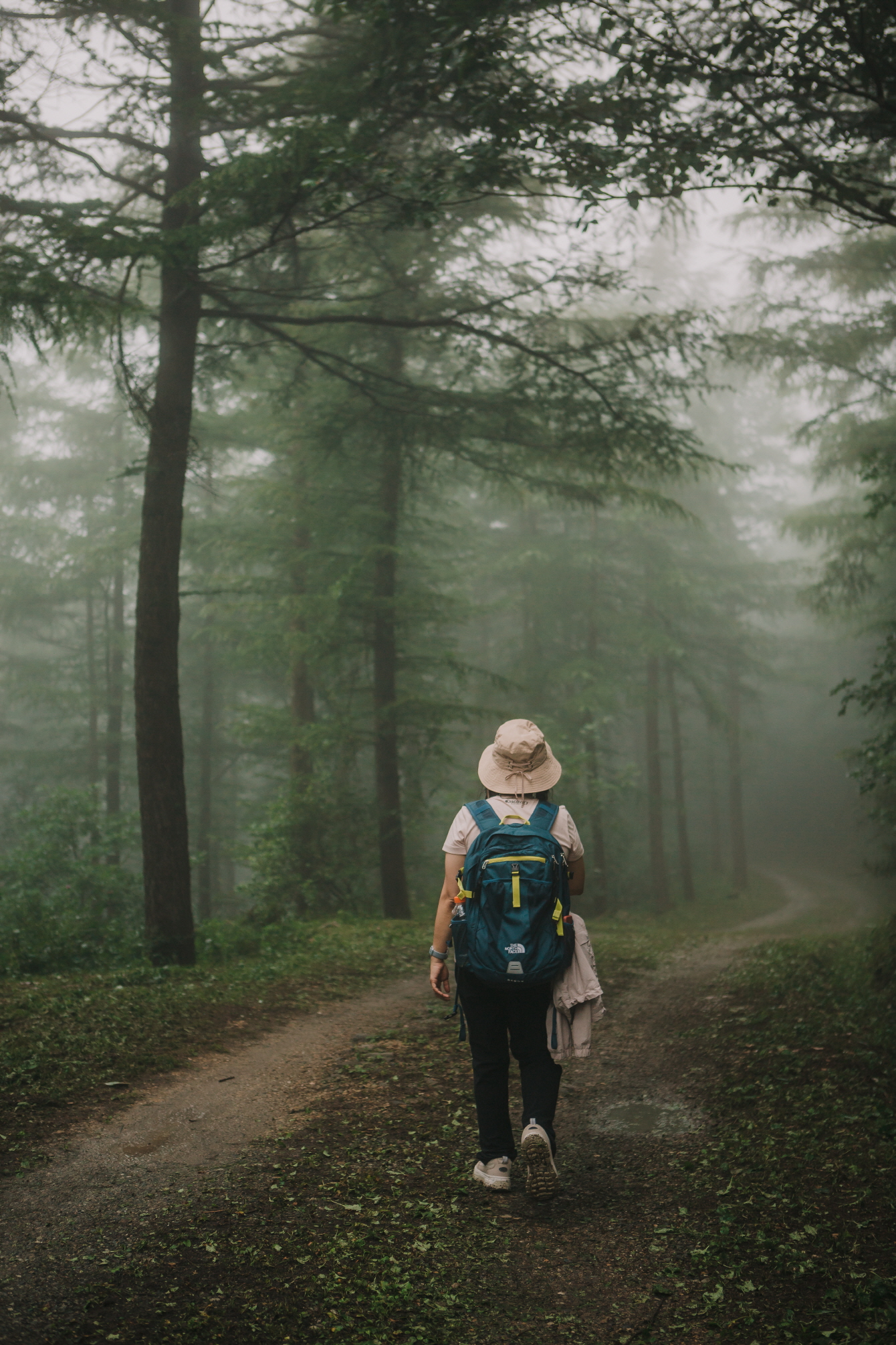 배낭메고 기차타고 구름 위로! 편리하게 즐기는 정선 운탄고도 트레킹