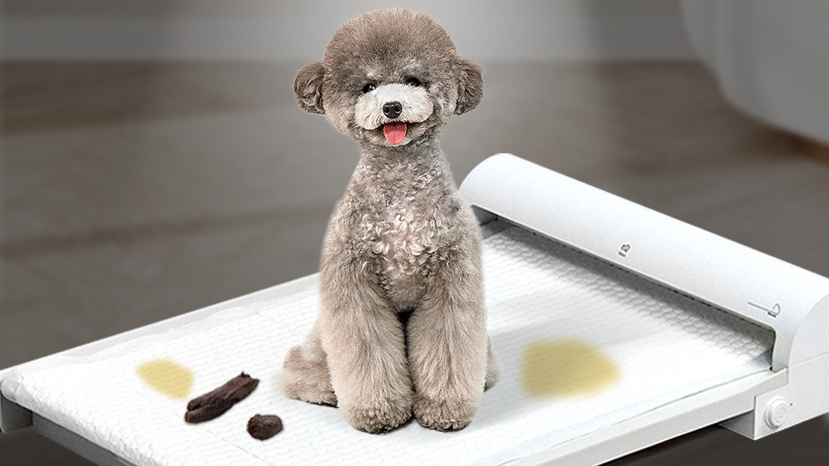 Ending the Dog Poop Battle: Automated Pet Toilet PetToilet