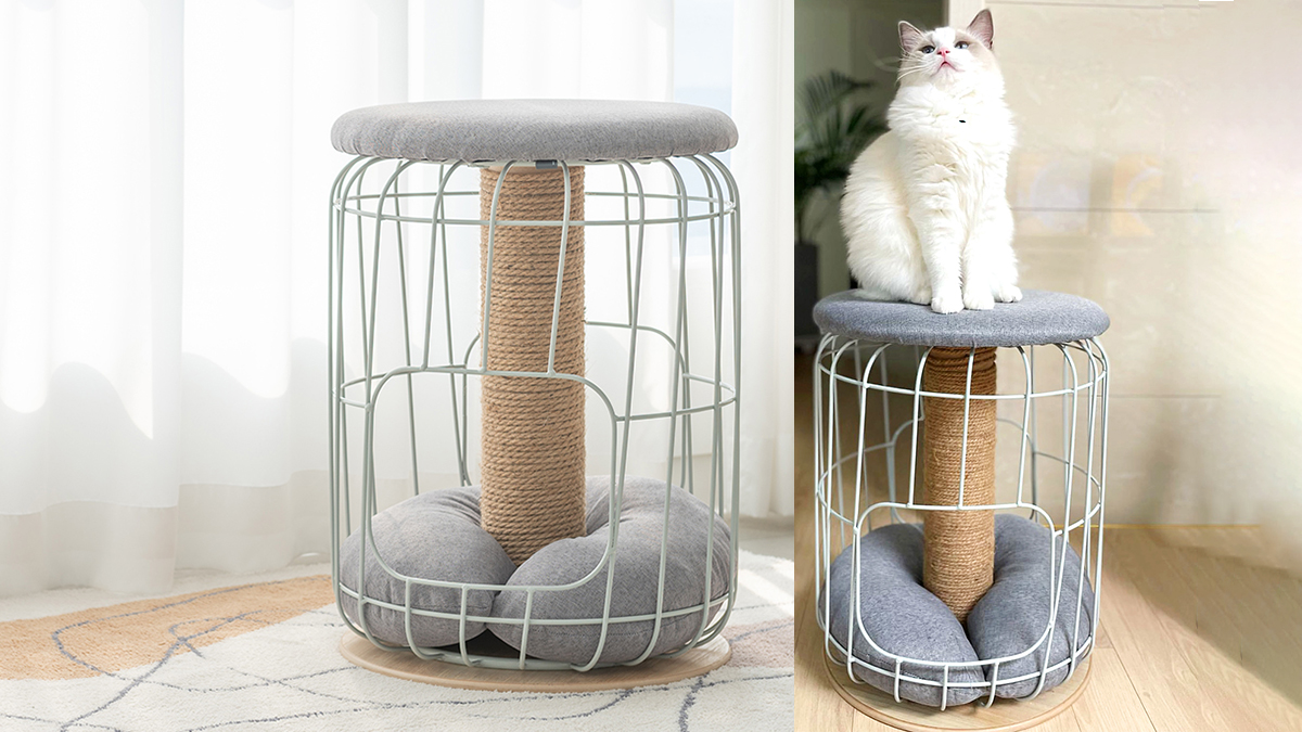 听说过宠物猫专用椅吗？抓板+通道+椅子三合一设计！