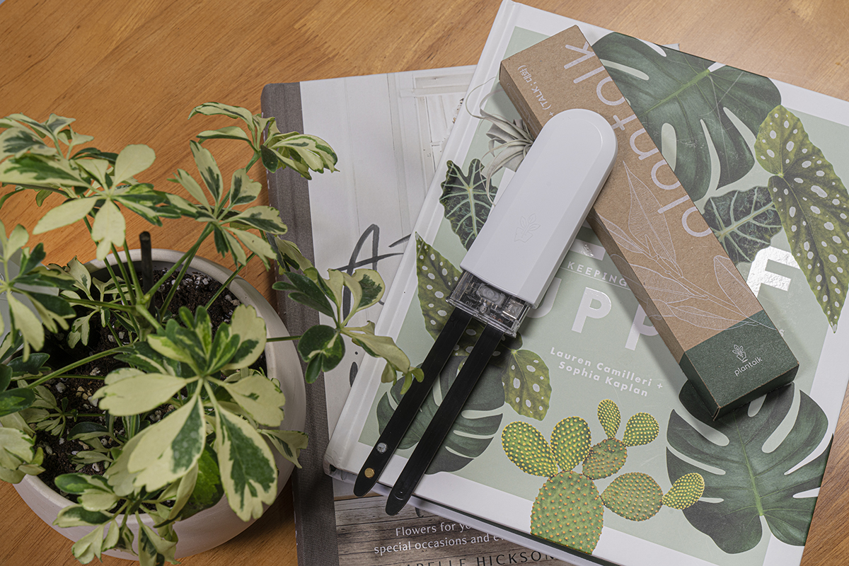 [앵콜] 식집사들 보세요! 식물 관리의 필수 IoT 플랜톡