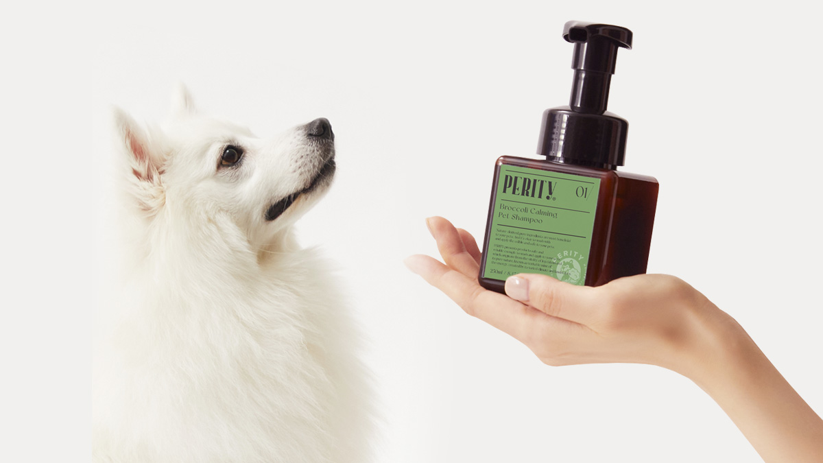 两年研发｜纯植物配方，告别狗狗异味与瘙痒