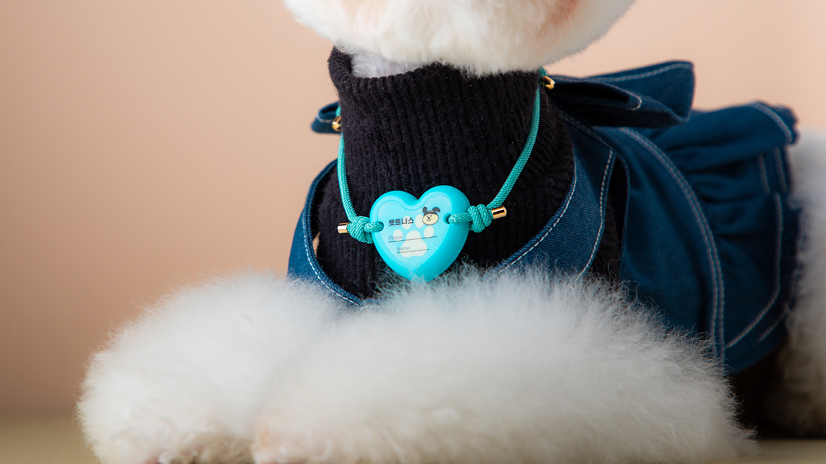 宠物定位国家注册芯片 Pettness