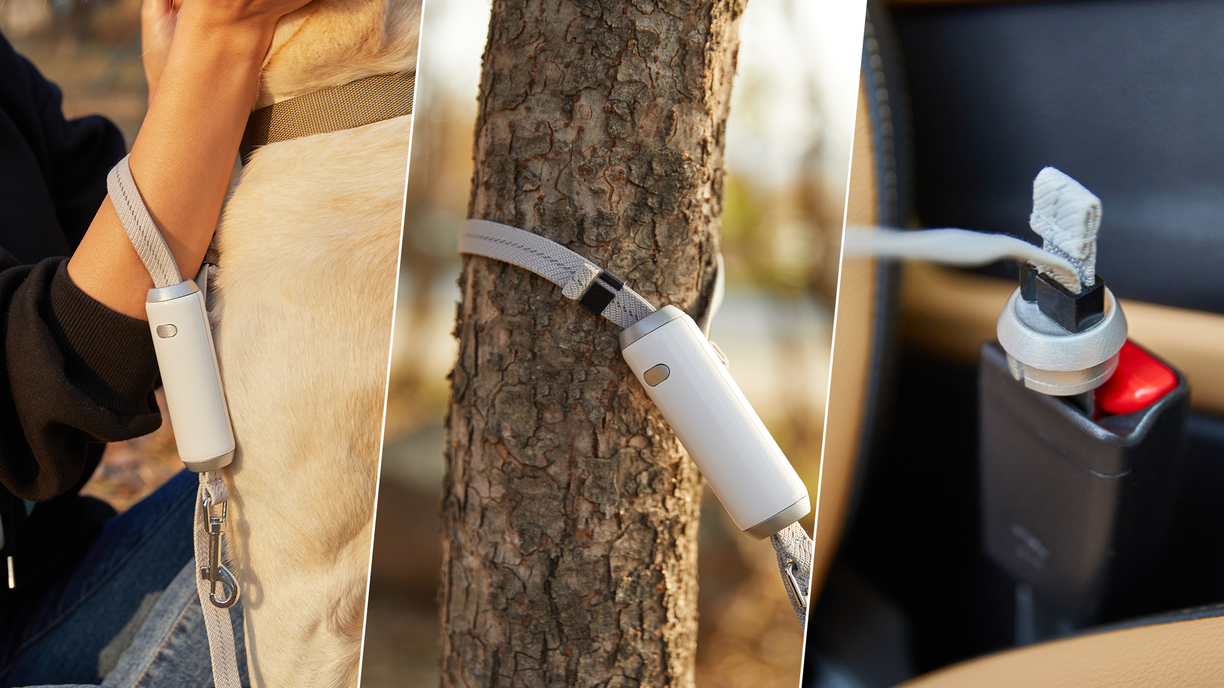 [Dog Leash] Safety Belt Meets Leash! The Ultimate Safe All-in-One Dog Leash