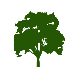 아로마데이코스메틱스