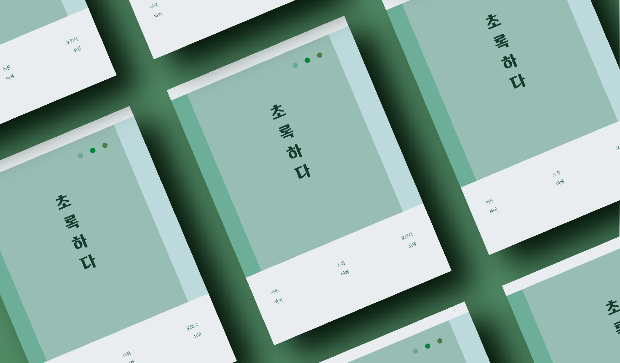 Youth Stories of Work + Life Independence: Essay <Chorokhada>