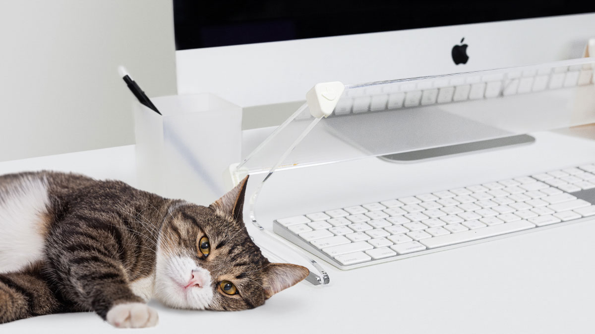 [냥보드가드] 키보드에 앉는 고양이들 3만원대로 막아드려요!