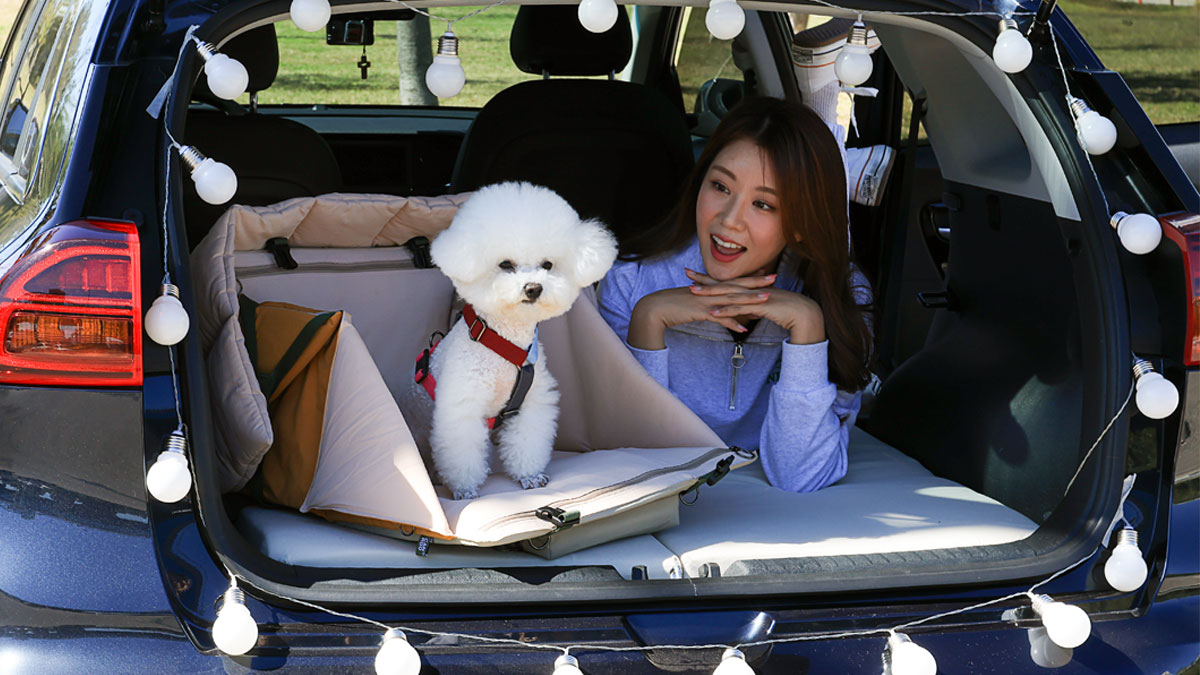 가방하나로 차박, 카시트,침대,쿠션,하우스,이동가방,케이지까지 한번에