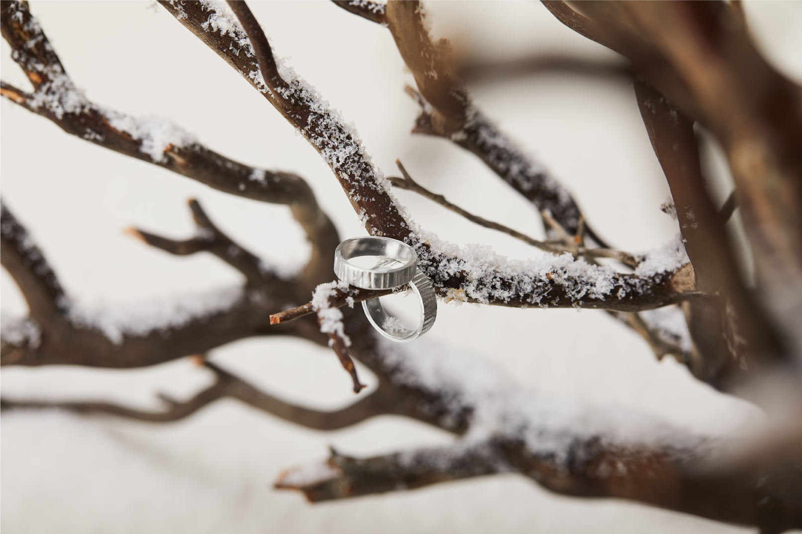 [단 하나뿐인] 내 손위의 겨울나무 반지로, 따뜻한 마음을 전해요