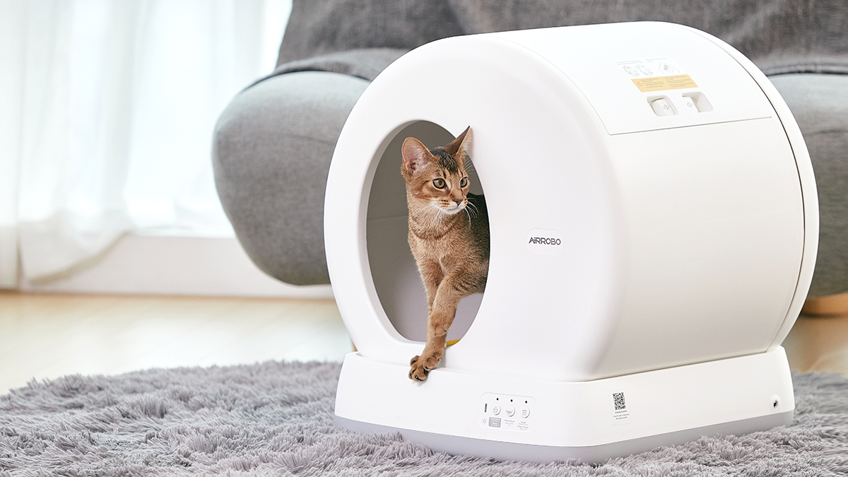 <N사 고양이자동화장실 1위> 9개 기능을 꾹꾹담은 완성형 에어로보