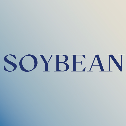 SOYBEAN STUDIO