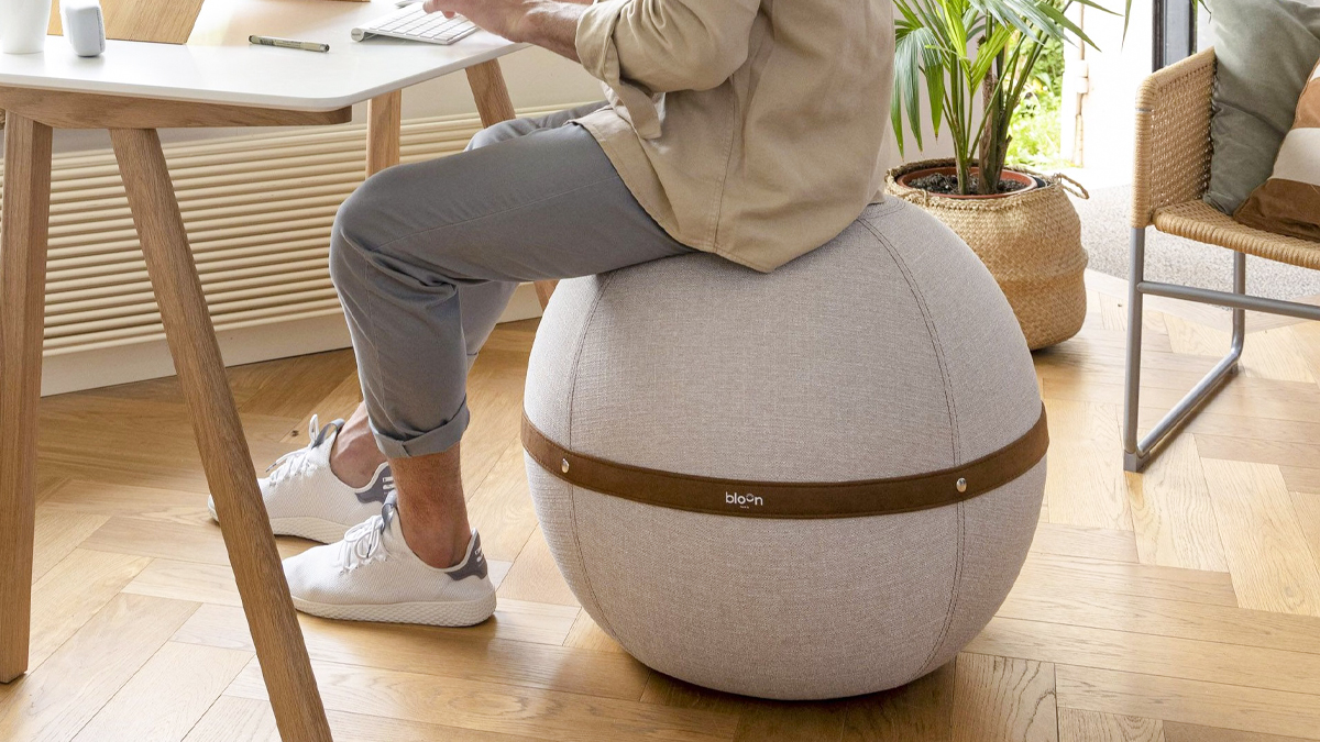 Limited Edition | Fitness Furniture Loved by European Startups! French Luxury Sitting Ball