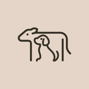 멍멍하누