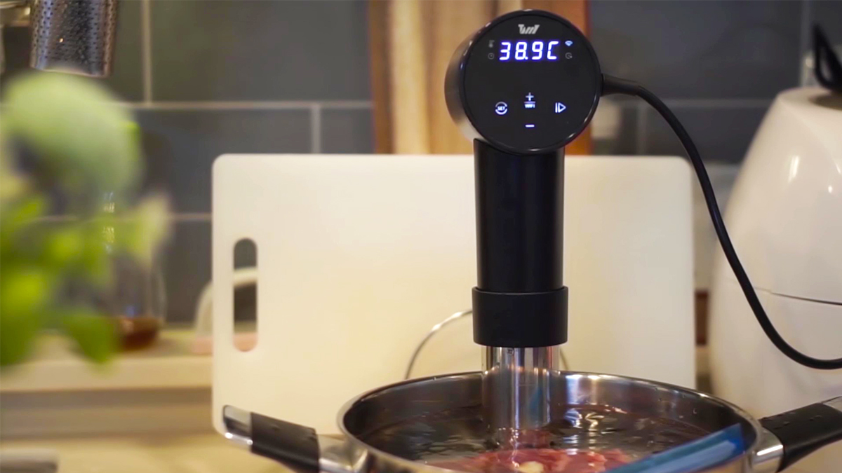 Terry Sous Vide Machine WIFI: Stylish Design with Reservation and Remote Control