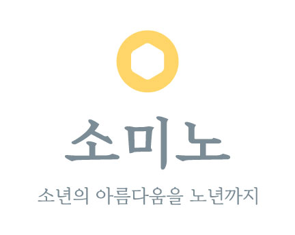 유한회사소미노