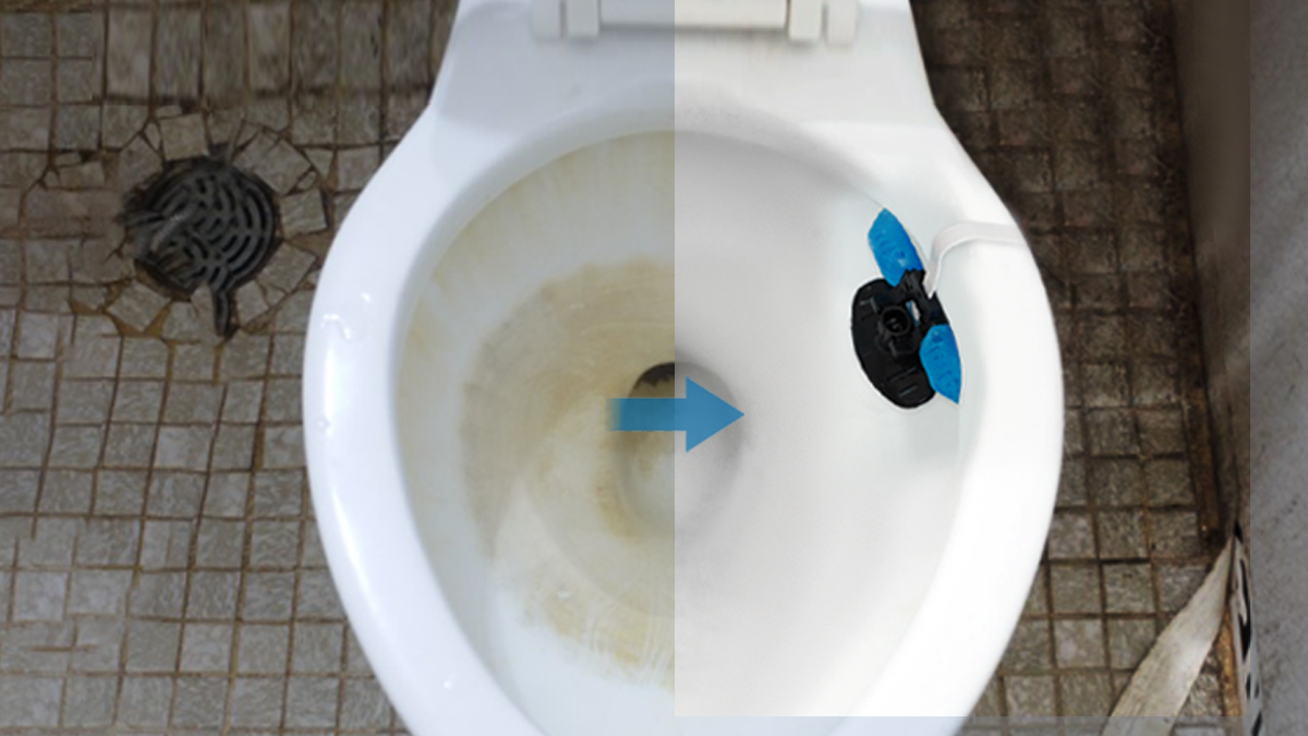 <유럽 국민템> 1만원대로 손안대고 끝내는 변기청소ㅣ진짜 세정제 등장