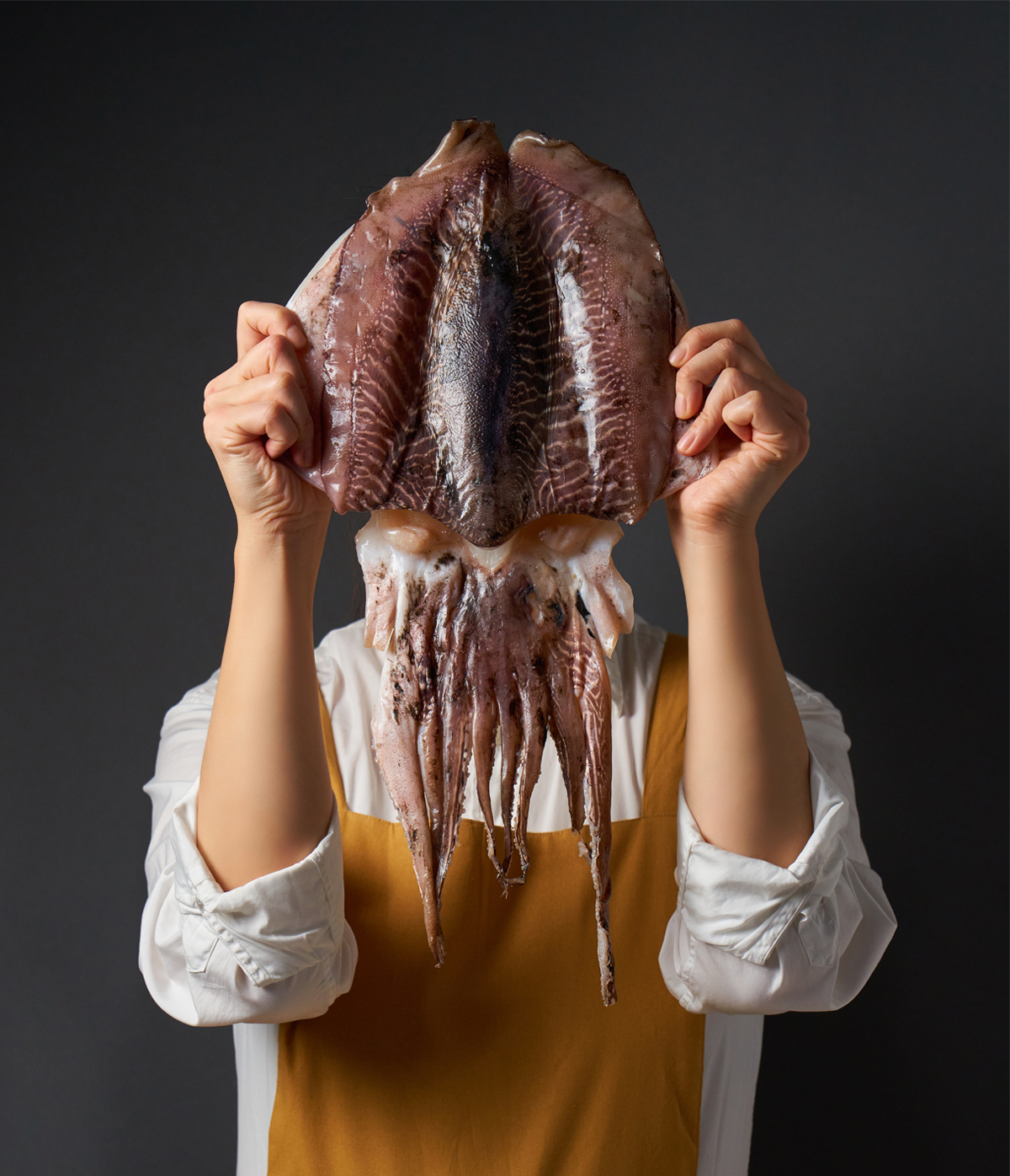 [Real Project] Don’t Be Surprised! Massive Semi-Dried "Giant" Cuttlefish