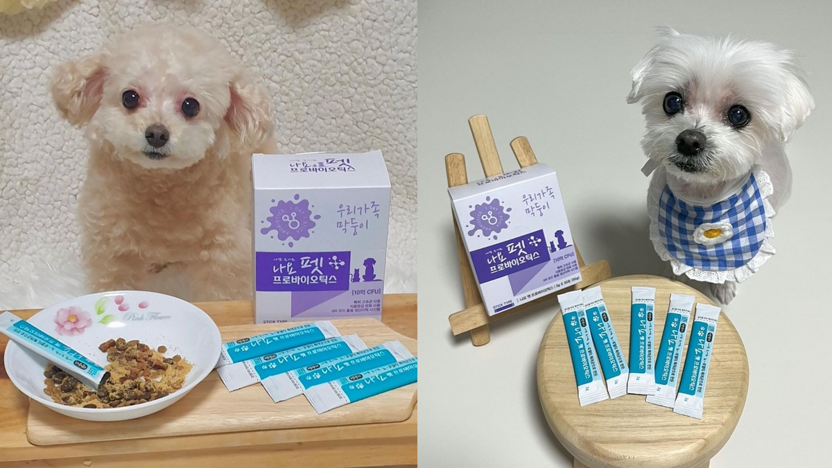 [나요] 宠物肠道健康，专利高效芽孢助力年轻活力