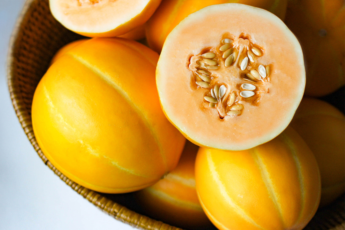 新種マクワウリ｜マクワウリ×メロンが生んだ超甘いオレンジ色のマクワウリ、ベータカロチン入り