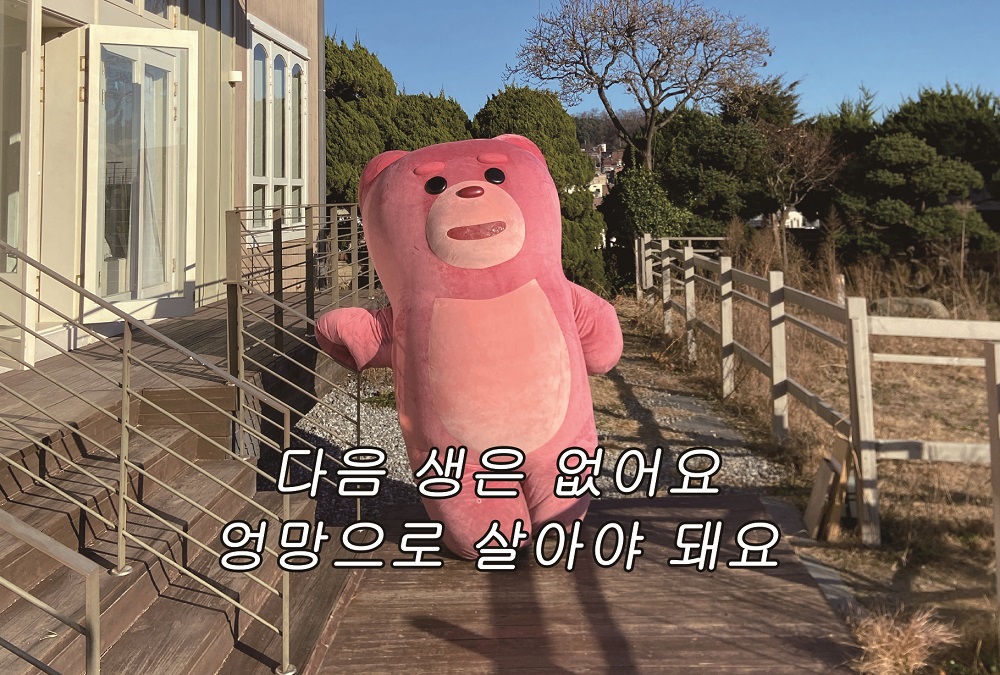 벨리곰(Bellygom)