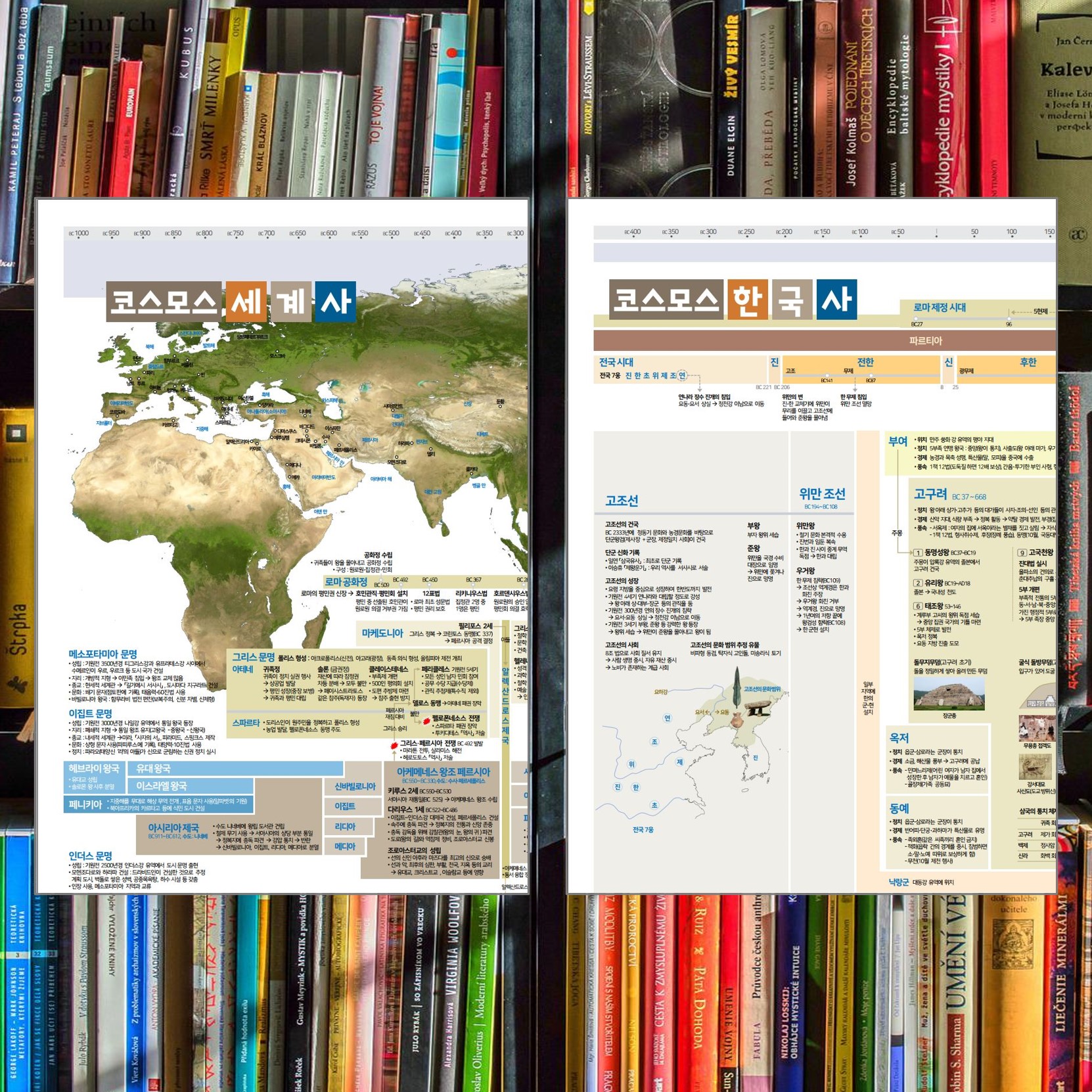 주식회사 모모미디어