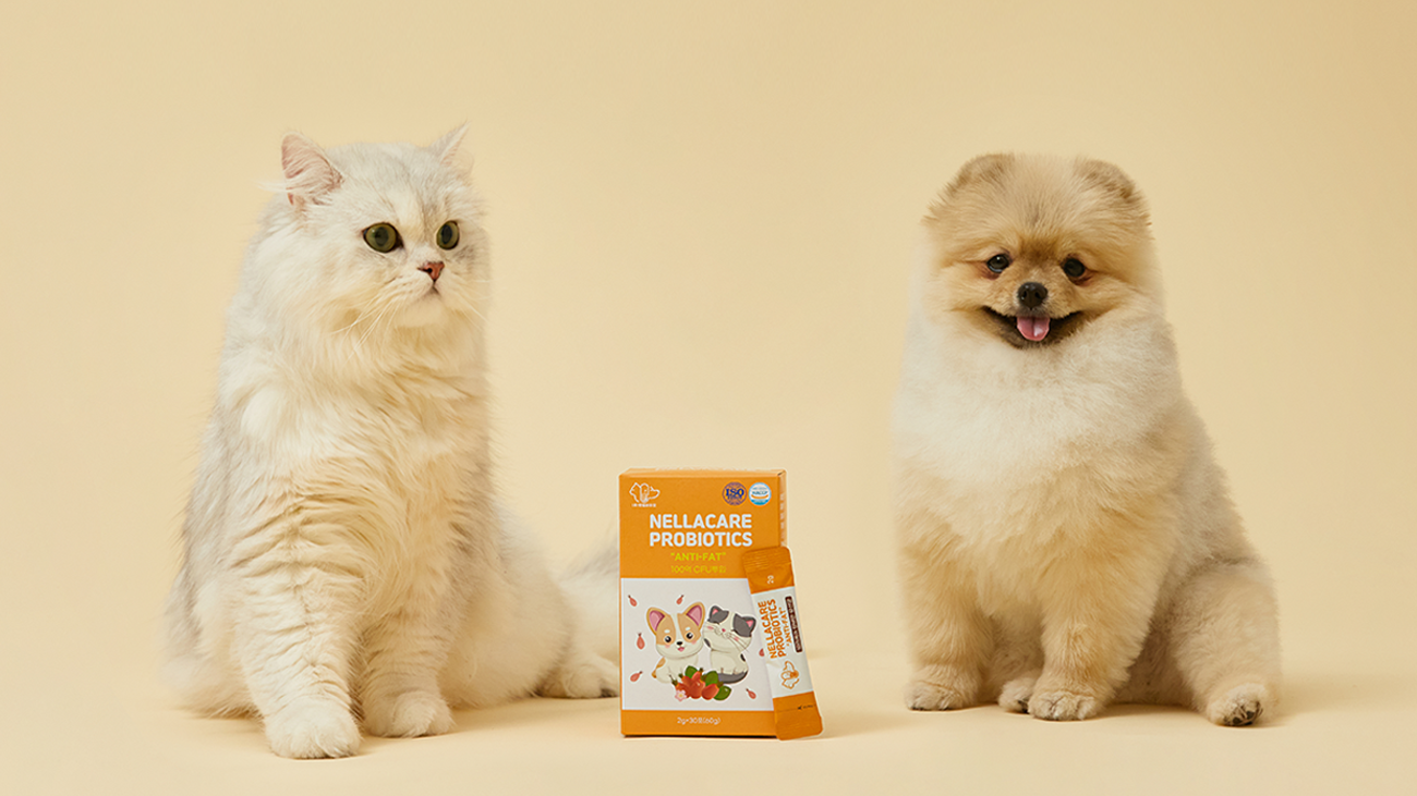 One Pack to Solve Your Pet’s Belly Fat! [Anti-Obesity + Arthritis + Gut Health Supplement]