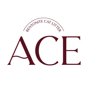 주식회사 티와이스토리 