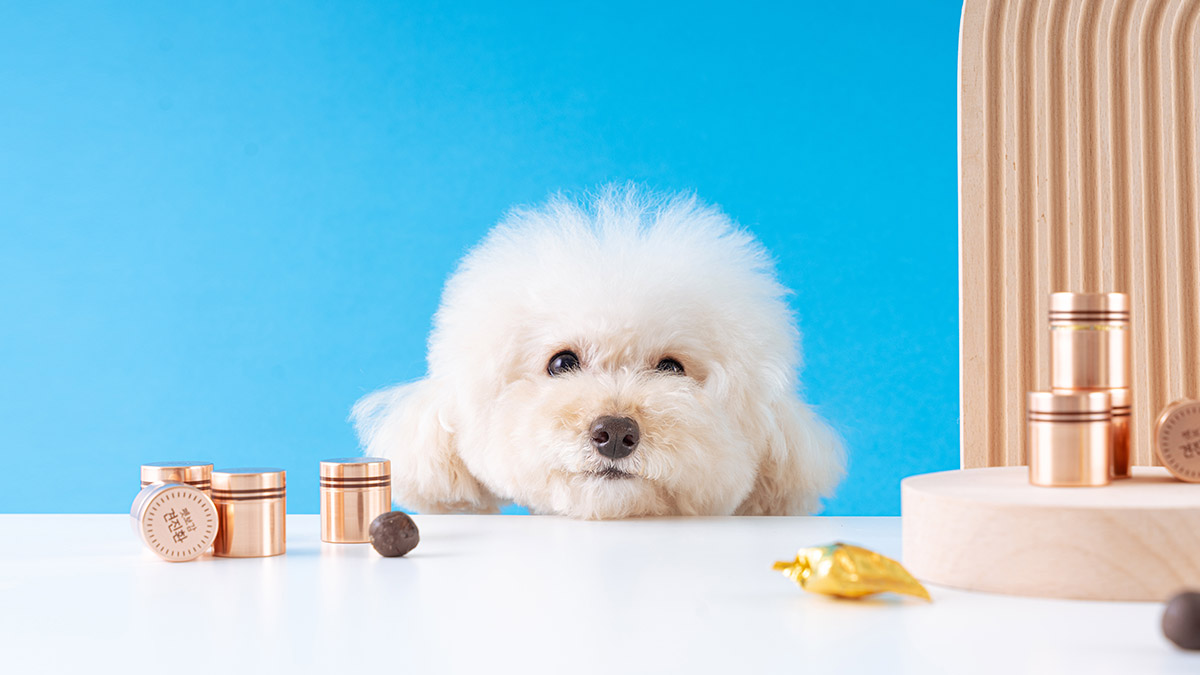 ‘Packed in one pill.’ The true premium herbal supplement for your dog_ Gyeonjin Hwan
