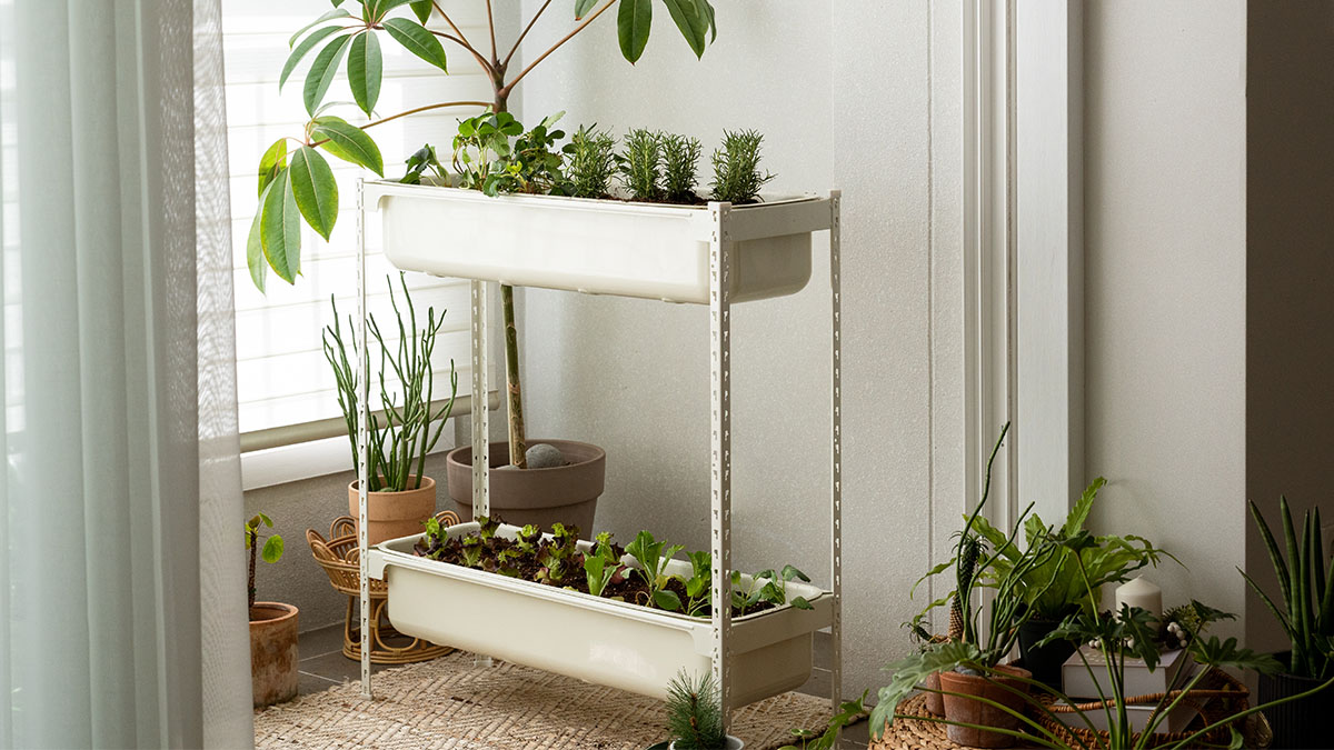 [Hobby菜园]忙碌中收获满满，带来丰收喜悦的小农场