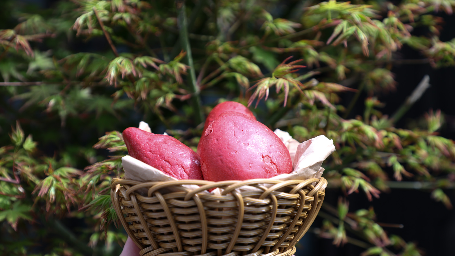 강원도 원주 고구마 농가 돕기 프로젝트! 조엄고구마 크림 토토미  원주빵