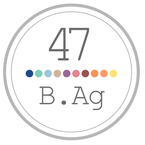 47베이지/주식회사 이야기