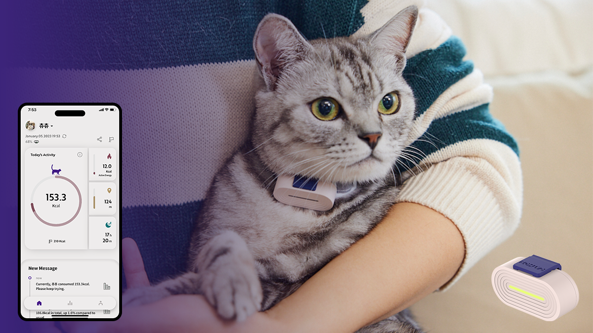 우리집 댕냥이를 위한 스마트워치, 완전히 새롭게 탄생한 CATMOS