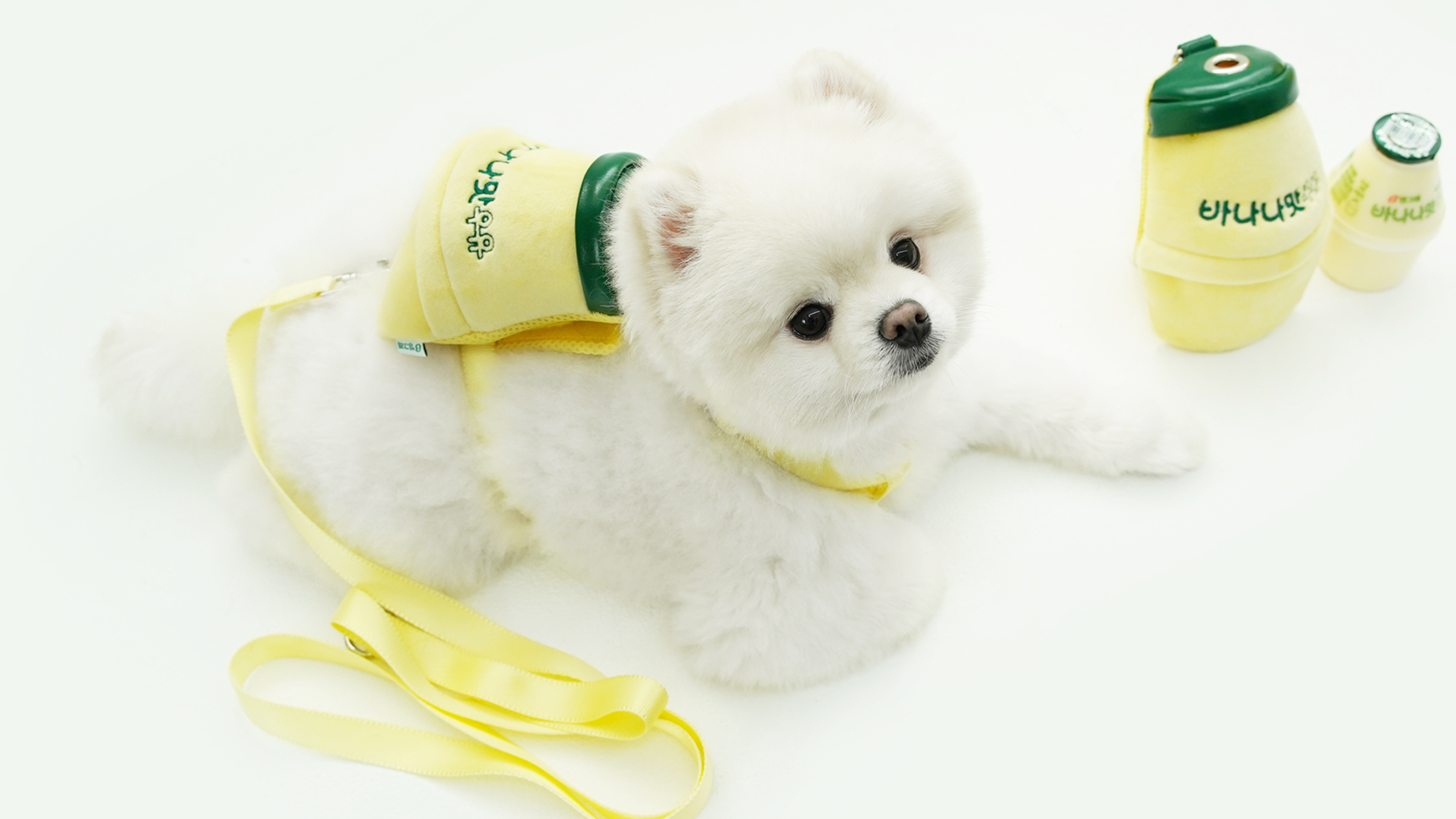 [Banana Flavored Milk] Adorable Walk Essential! Backpack and Crossbody in One! #DdungBaBag